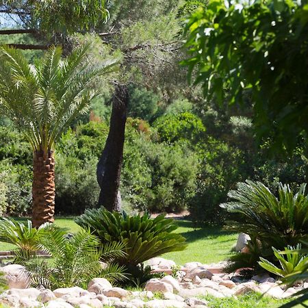 Hotel Le Belvedere Porto-Vecchio  Ngoại thất bức ảnh