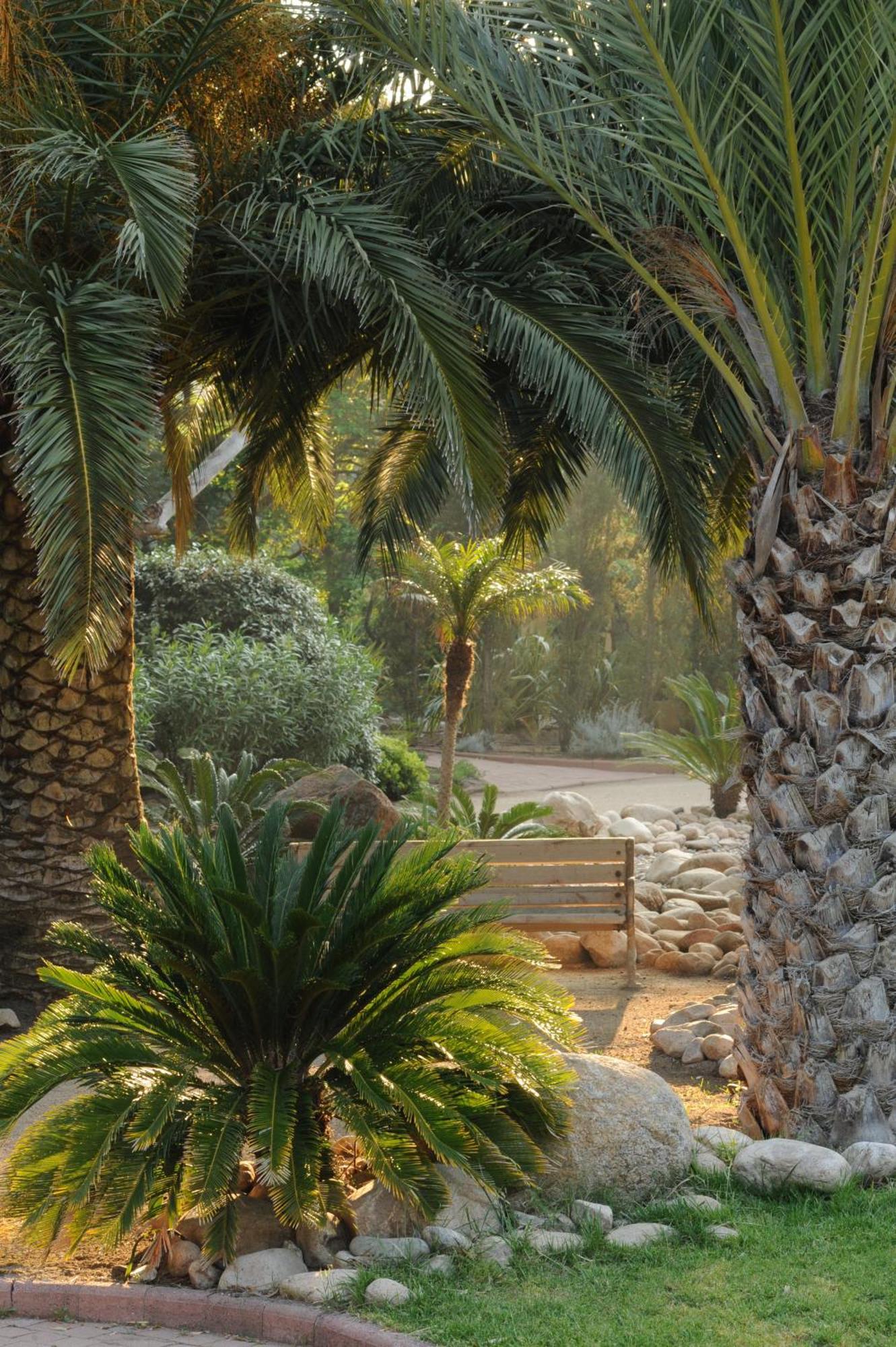 Hotel Le Belvedere Porto-Vecchio  Ngoại thất bức ảnh