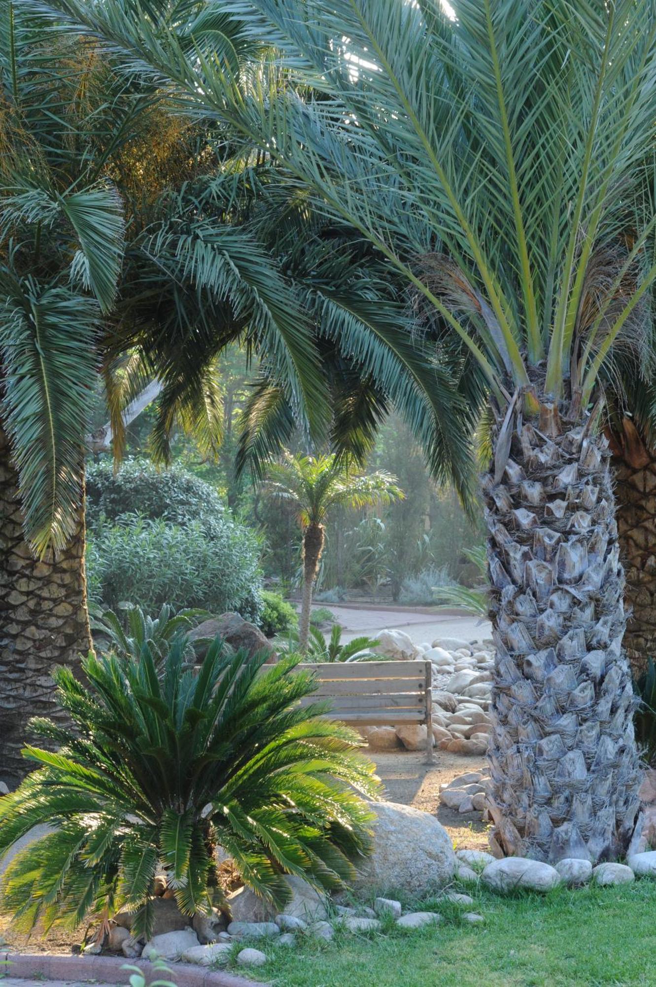 Hotel Le Belvedere Porto-Vecchio  Ngoại thất bức ảnh